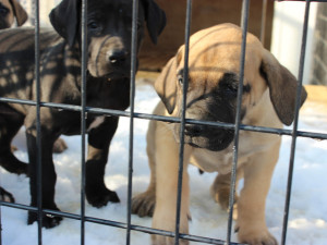 kako-AagT9rI6VcXQlZgX