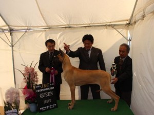 kako-K7yKqbJENpBHxCOx