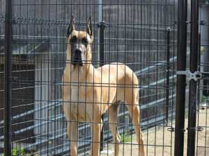 kako-fCKVwoqWhvE4wXCO