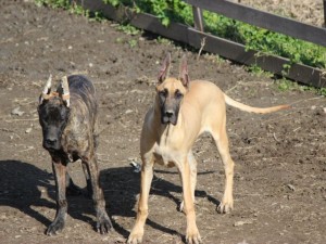 kako-k7fWYxfs0HraUbE4