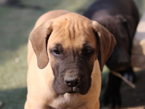 kako-vRV7ik897LBmgbeX